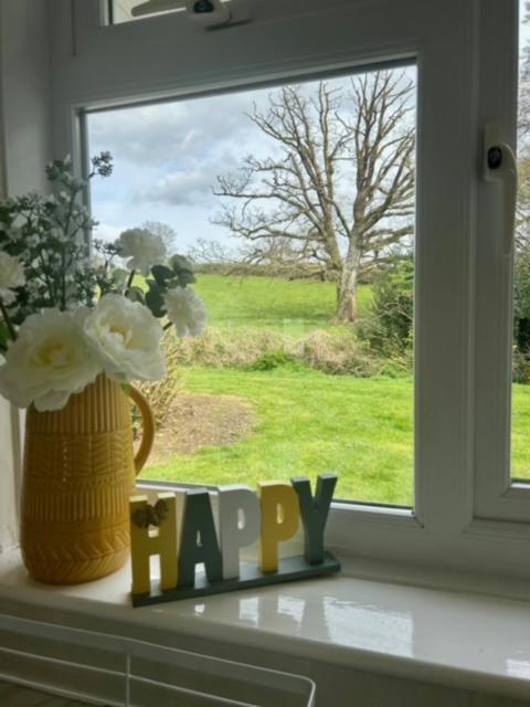 Rosecraddoc 23 Chalet Liskeard